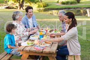 Extended family having an outdoor lunch