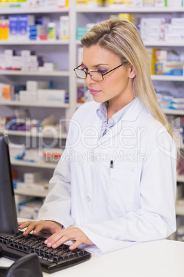 Pharmacist using the computer