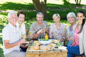 Happy family having picnic in the park