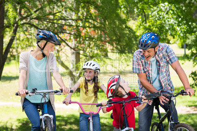 Happy family on their bike at the park