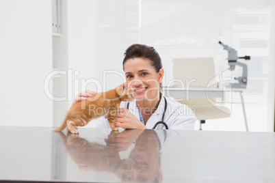 Veterinarian examining a cat