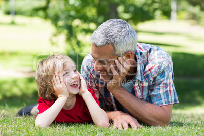 Happy father lying on the grass with his son