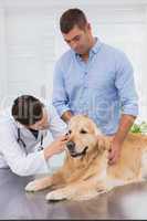 Veterinarian examining a dog with its owner