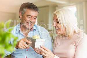 Happy mature man offering wife a gift