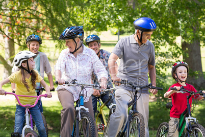 Happy family on their bike at the park