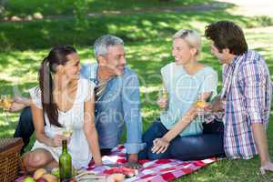 Happy couples having picnic at the park