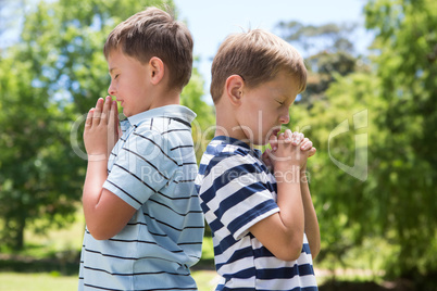 Little boys praying in the park