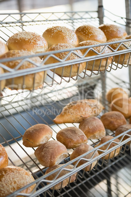 Display of breads freshly baked