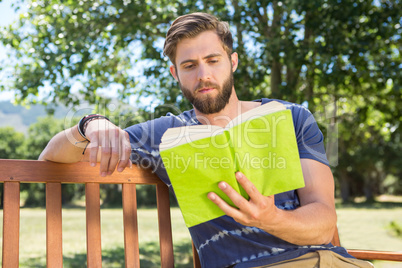 Young man reading on park bench