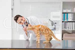 Veterinarian examining a cat with magnifying glass