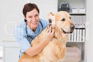 Veterinarian using otoscope to dog