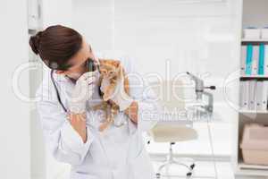 Veterinarian examining a cute cat