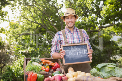 Farmer selling organic veg at market