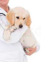 Veterinarian with a cute dog in her arms
