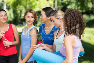 Fitness group chatting in park