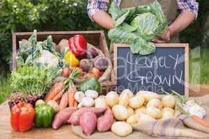 Farmer selling organic veg at market