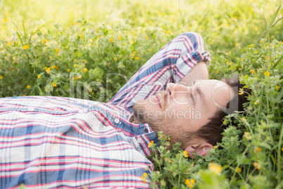 Handsome man relaxing in field