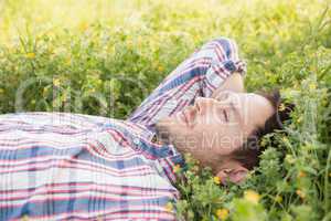 Handsome man relaxing in field