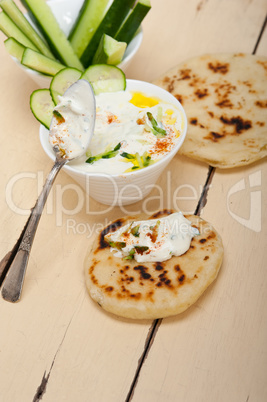 Arab middle east goat yogurt and cucumber salad