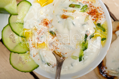 Arab middle east goat yogurt and cucumber salad