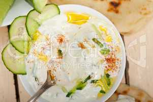 Arab middle east goat yogurt and cucumber salad