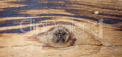 Brown wood background