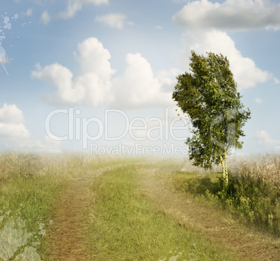 Summer Landscape Watercolor