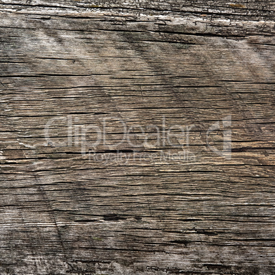 texture of old wood in the style of grunge as background