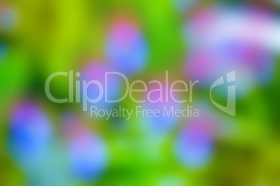 blur spring background