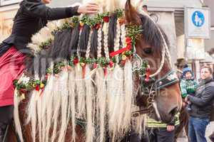 Traunstein/Deutschland/ Bayern - 06.April:geschmücktes Pferd  beim  Georgiritt in Traunstein