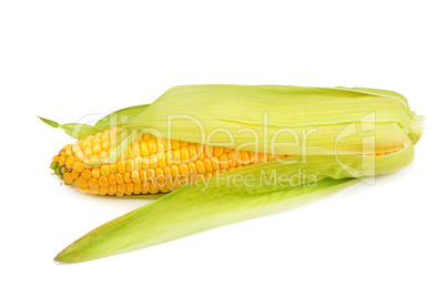 Corn cob isolated on white background