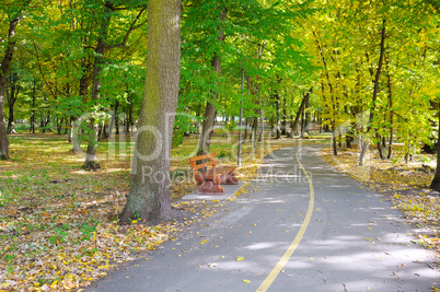 autumn landscape in a beautiful park