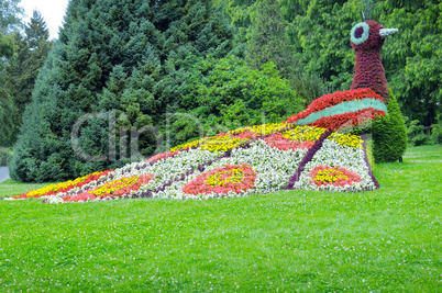 flower bed in the form of figures peacock