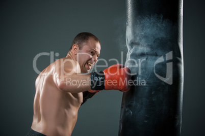 Young Boxer fighter