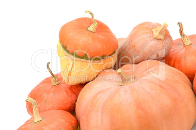 collection pumpkin