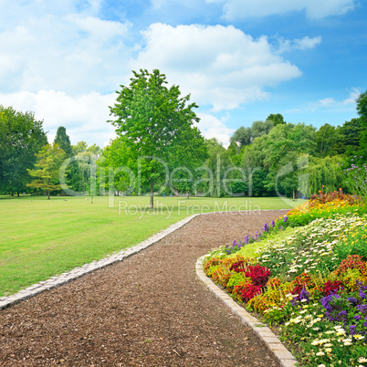 Multicolored flowerbed on a glade