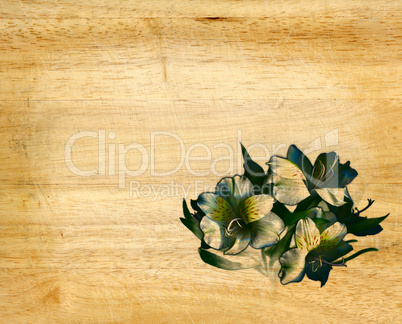 fence weathered wood background