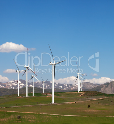 Wind farm at sun spring day