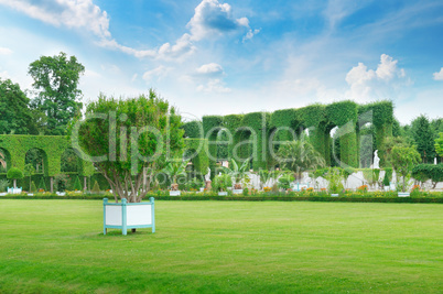 lawn and hedge in a summer park