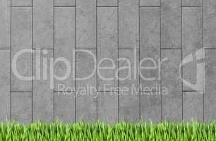 Building wall and green grass background