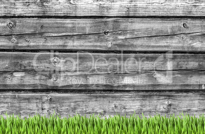 Wooden wall and green grass background