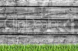 Wooden wall and green grass background