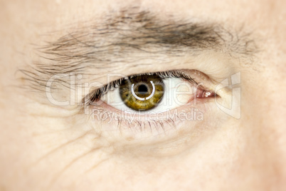 male eye