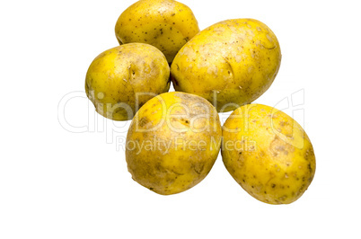 Kartoffeln vor weißen Hintergrund