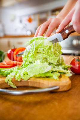 Woman's hands cutting vegetables