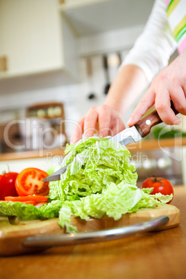 Woman's hands cutting vegetables