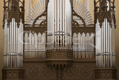 Organ Pipes