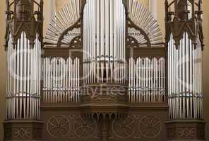 Organ Pipes