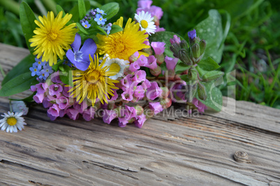 Frühlingsblumen auf einem holzbrett