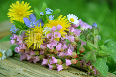 Frühlingsblumen auf einem holzbrett